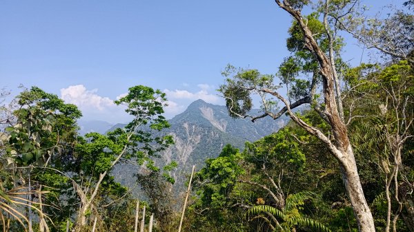 西阿里關山3033630