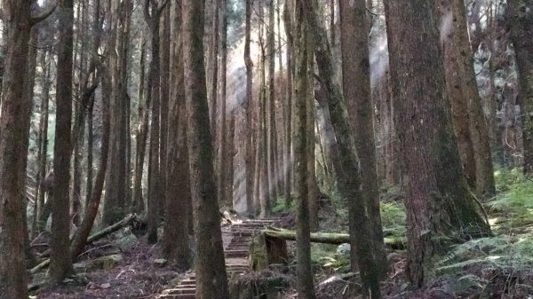 特富野古道1134103