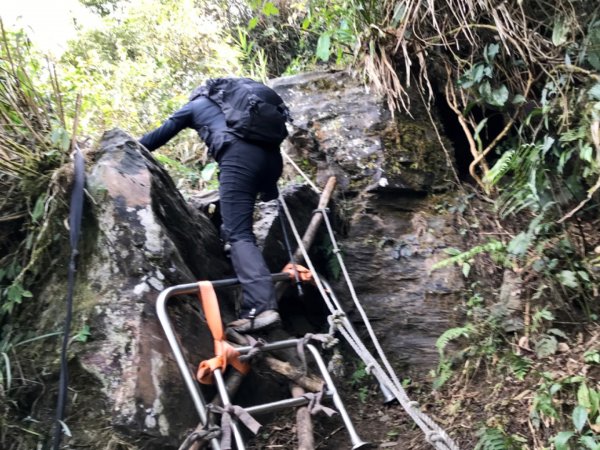 鱈葉根山登山步道524765