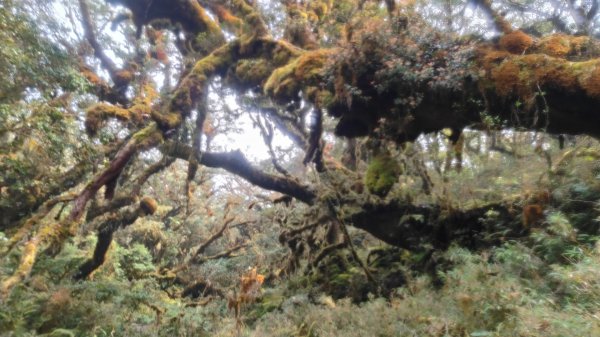 茶仁山單攻2025年4月4日2753329