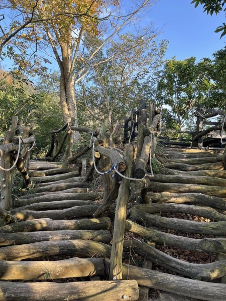 大坑二號步道2711570