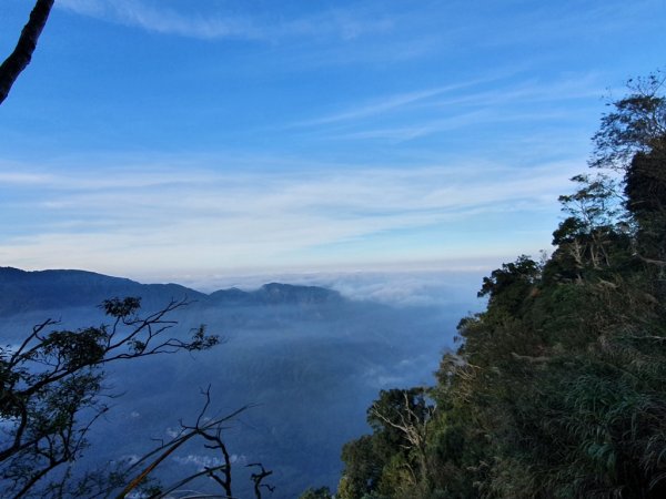 【溪頭】小百岳-鳳凰山1555631