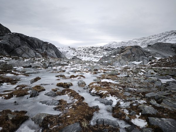 [紐約馬之行-46] 2025_1108 努克環狀步道 3/52951360