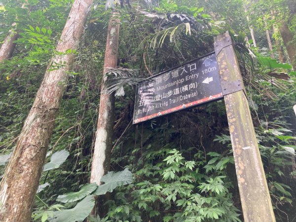 五指山登山步道2293194