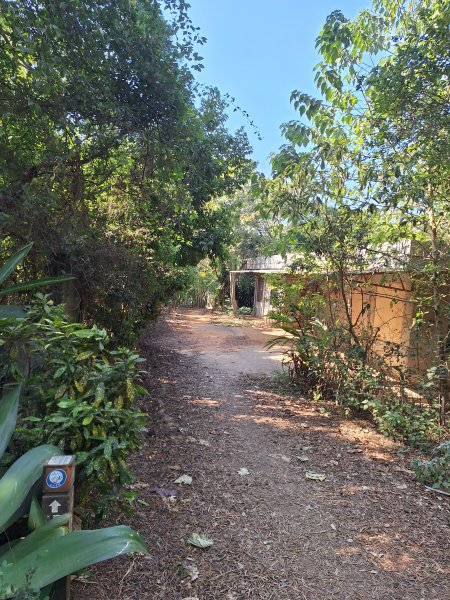 大肚環保公園步道+大尖山+萬里長城步道萬里長城步道202512072956500