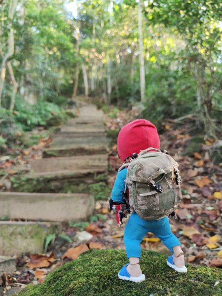 2023.12.14 土城天上山2827276