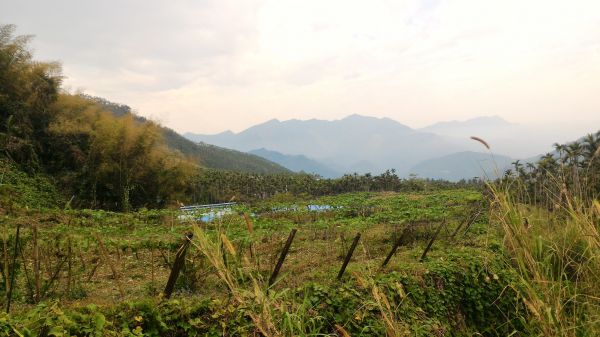 大湖尖山、天雲山、文峰山114754