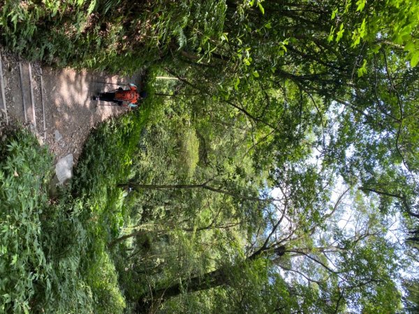 步道巡訪員 l 聖母登山步道109年七月份巡訪1052991