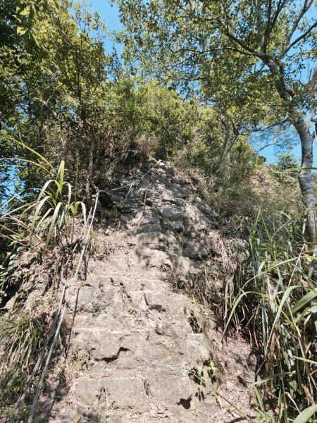 三腳南山-小百岳#65-嘉義縣大埔鄉2788709