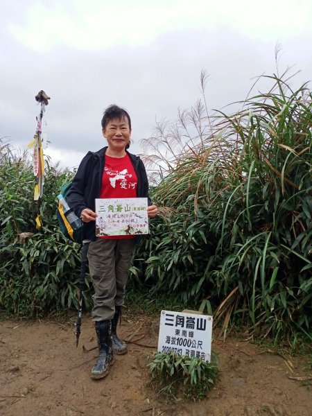 【小百岳集起來】三角崙山, 聖母登山步道1148142