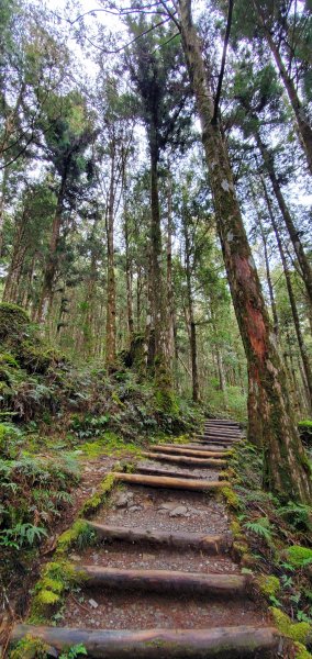 2022-02-28太平山-茂興懷舊步道1623356