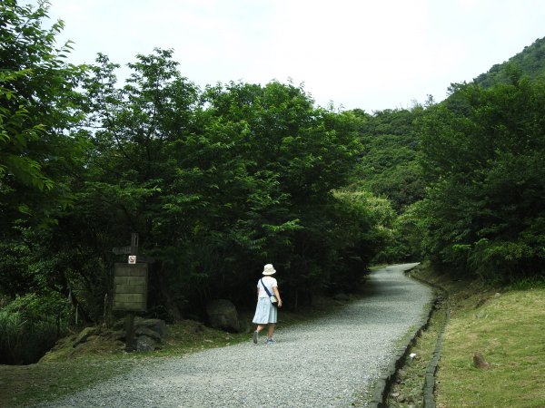 金瓜石地質公園+黃金神社20200502953395