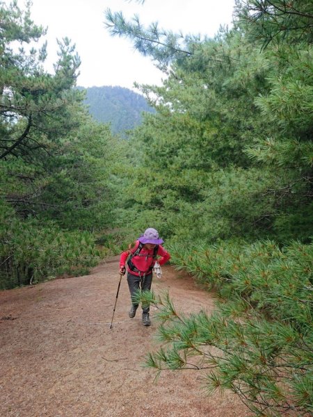 平多o走（平岩山，多加屯山，勝光山）1849566