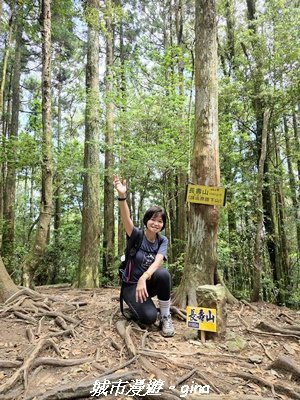 【台中和平】長壽山_肥崠山_山徑3077639