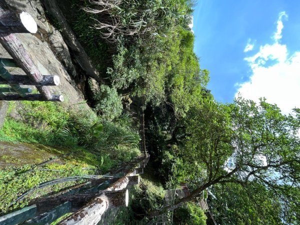 20230705_平溪薯榔尖、國旗嶺步道2762599