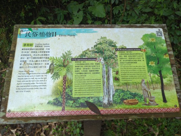 2025.01.10－松羅國家步道2981177