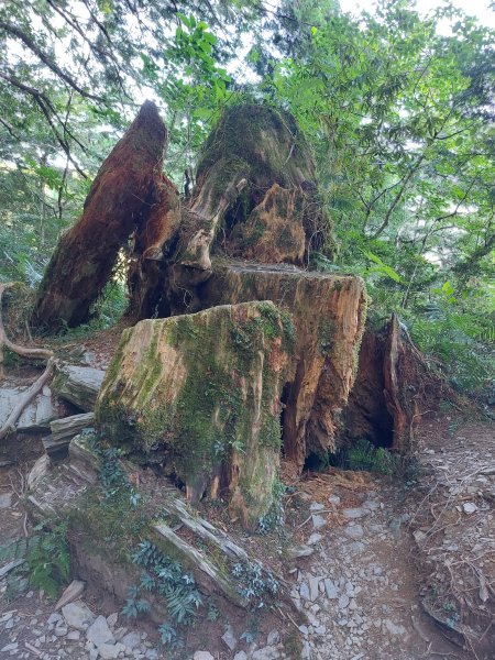 見晴古道+三星山+三星池202208211817278