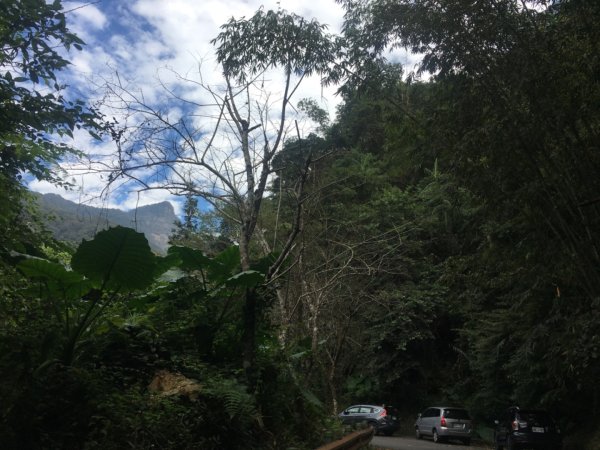 南大窩舊林道～未竟2653055