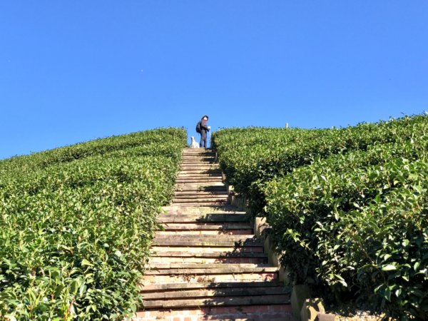 1314瑞峰鼠眉毛縱走1571602