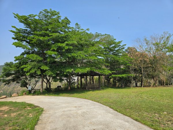 350高地、阿凰臘森林步道3033481
