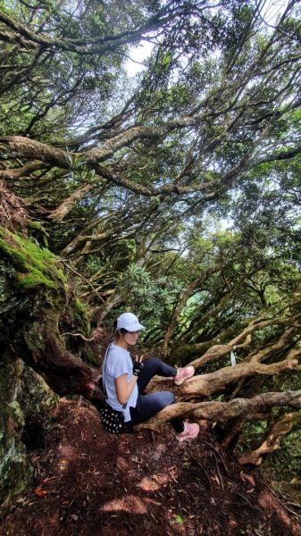 【中級山縱走】高島縱走（高台山，小島田山，中島田山，大島田山）2740964