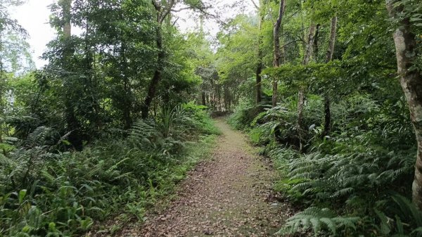 20251004 馬那邦山 - 珠湖 登山口2904802