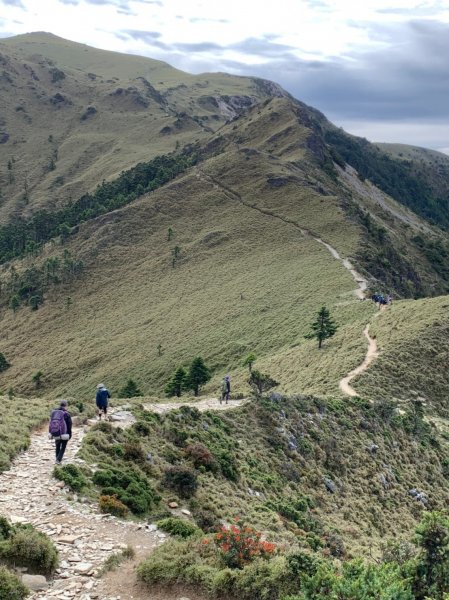 20220625台東海端向陽山、向陽山北峰、三叉山、嘉明湖1745553