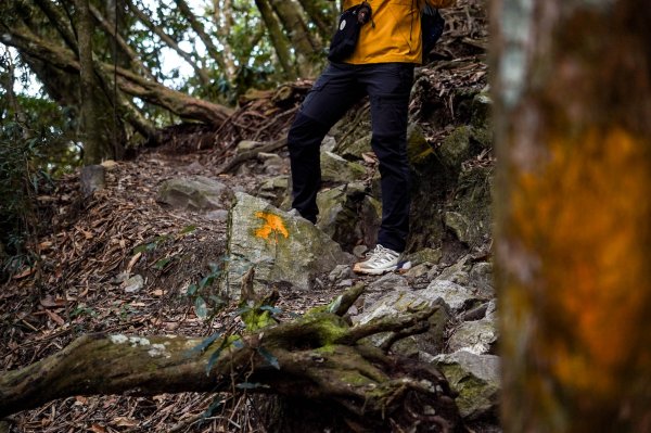 鳶嘴稍來山｜鳶嘴山稍來山O型縱走2987976