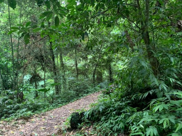 大湖馬拉邦山（小百岳）1065687