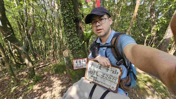 20250503藍鵲峰-平溪子山-畝畝山-青林山2777585