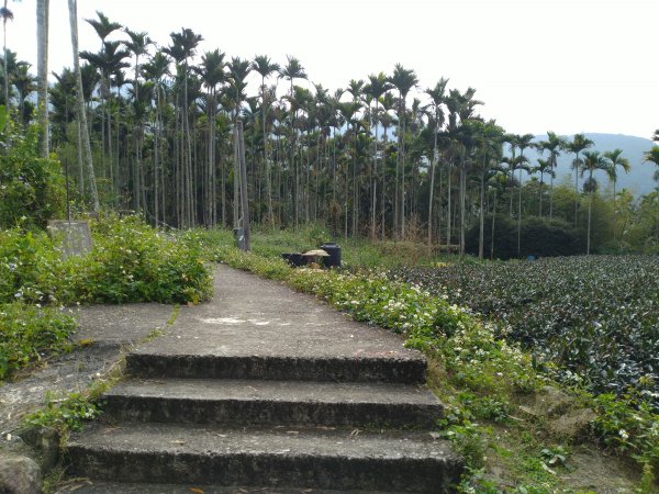 2022-01-01 華山3號-4號步道上二尖山1568217