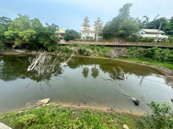 苗栗三灣-銅鏡山林步道2628280