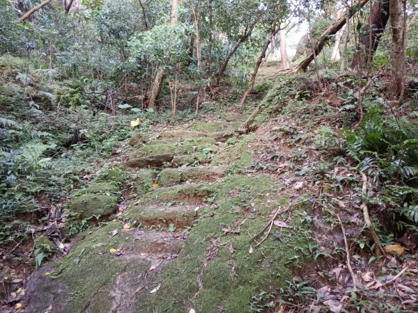 五堵獅頭山無菸步道2969490