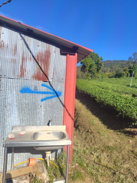 南東眼山連走有勝山2918721