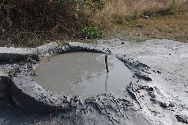 20180217漯底山自然公園步道817675