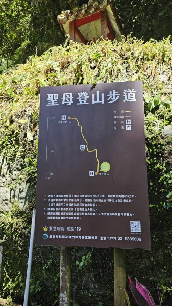 【我的第一個教師節🤣🤣】解鎖第51座小百岳#083三角崙山（抹茶山、聖母登山步道）2900601