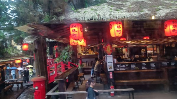 鳳凰南嶺線步道(溪頭至杉林溪縱走)2150759