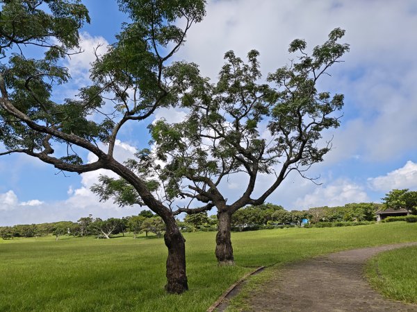 [百山百鳥尋旅-02/15] 2025_0809 社頂自然公園步道2857221