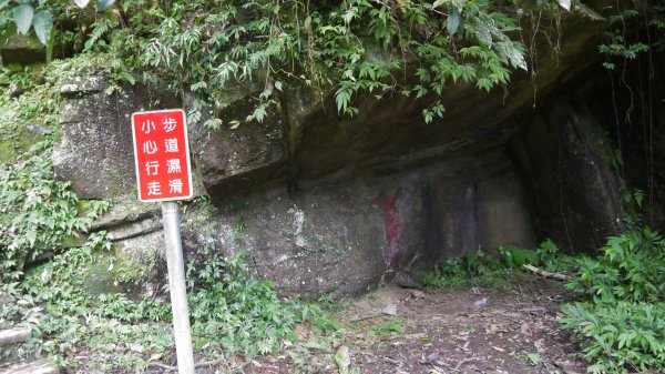 銀河洞越嶺步道登山健行趣（步道）1541160