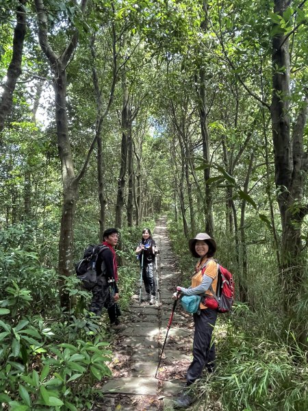 飛鳳山 大8三個山頭1722213