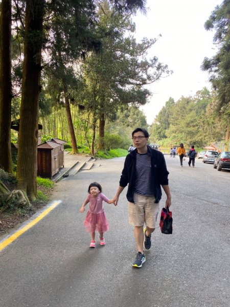 20191109貓仔們之溪頭森林步道探索757216