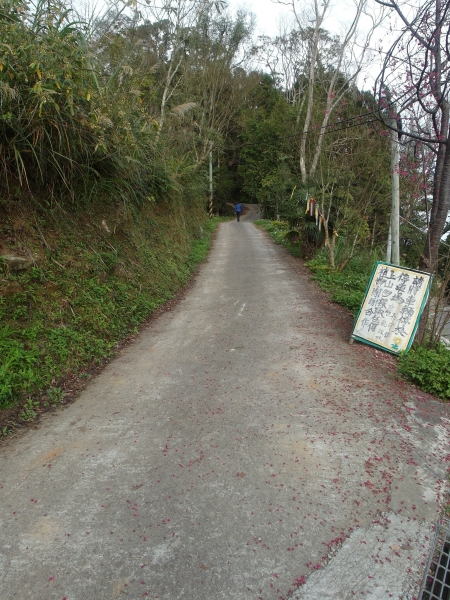 台灣小百岳第31座-鵝公髻山之三角點98077