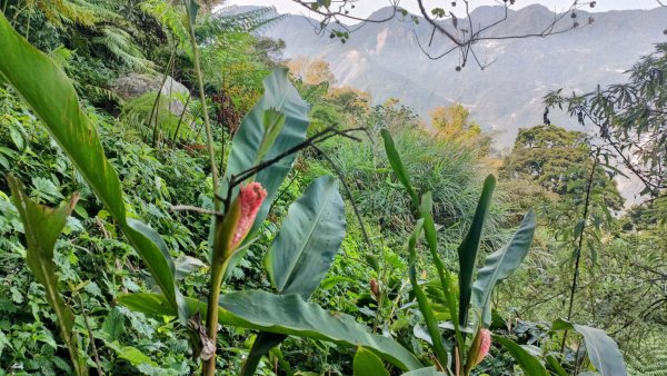 聖觀音峰(大佛山)小塔山 2022年3月20日1648381