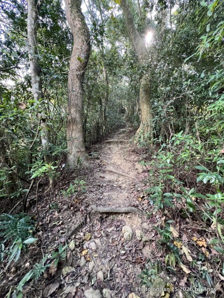 【新竹＋苗栗】猿獅縱走2989068