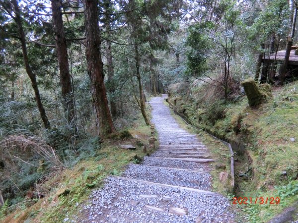 翠峰湖環山步道1557901