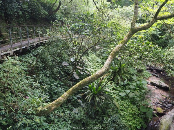 《宜蘭》小太魯閣｜礁溪林美石磐步道201805172889143