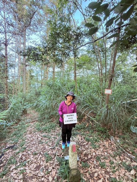 埔里登蜈蚣崙山、板仔寮山 2025.6.182815484