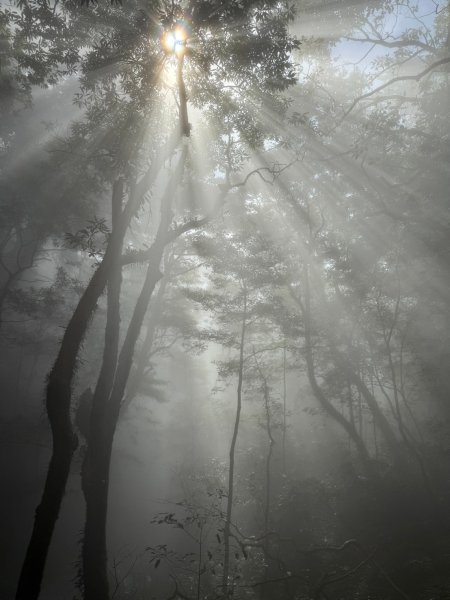 北得拉曼-內鳥嘴山2664600