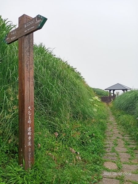 鞍部→大屯山北、主、南、西峰連走→面天坪→清天宮【走遍陽明山】2176971