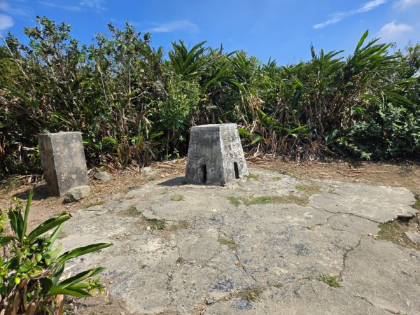 大山母山（小百岳）3007467